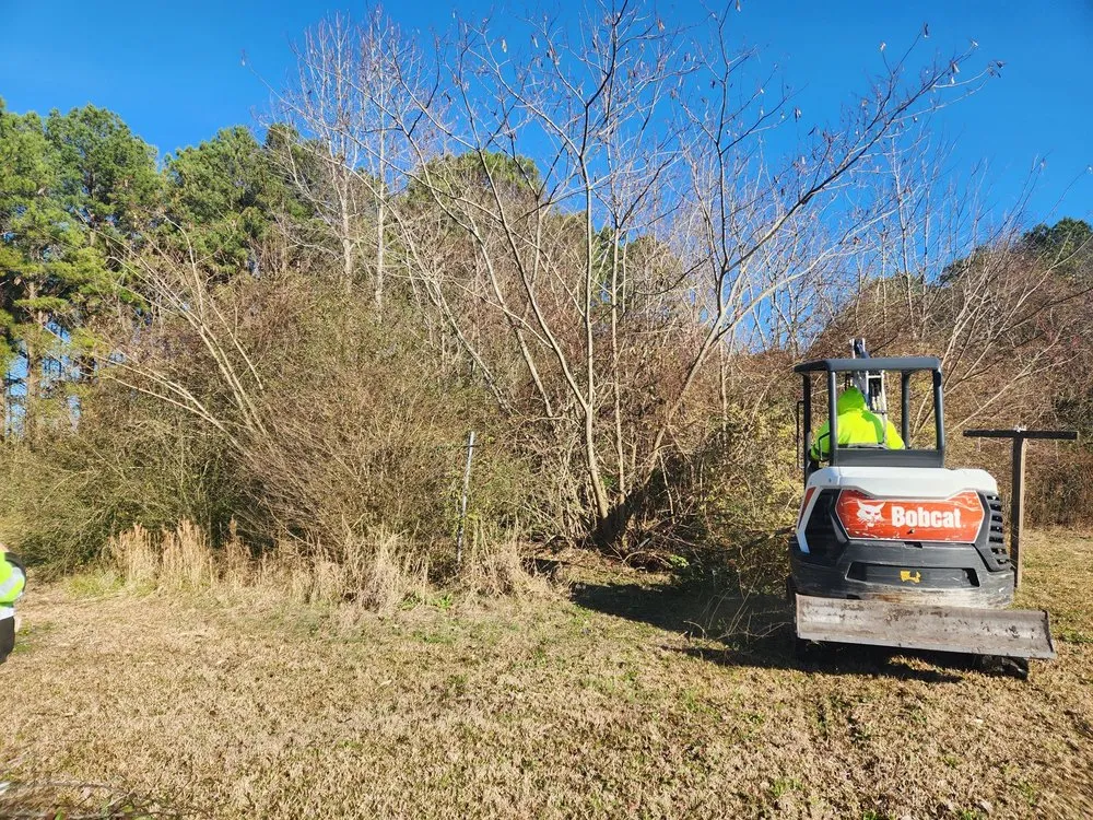 Trusted lawn care service for residential properties in Washington, NC by Perez Contractors