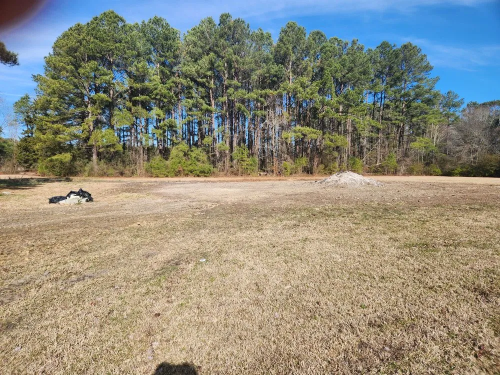 Custom yard cleanup service in Washington, NC by Perez Contractors