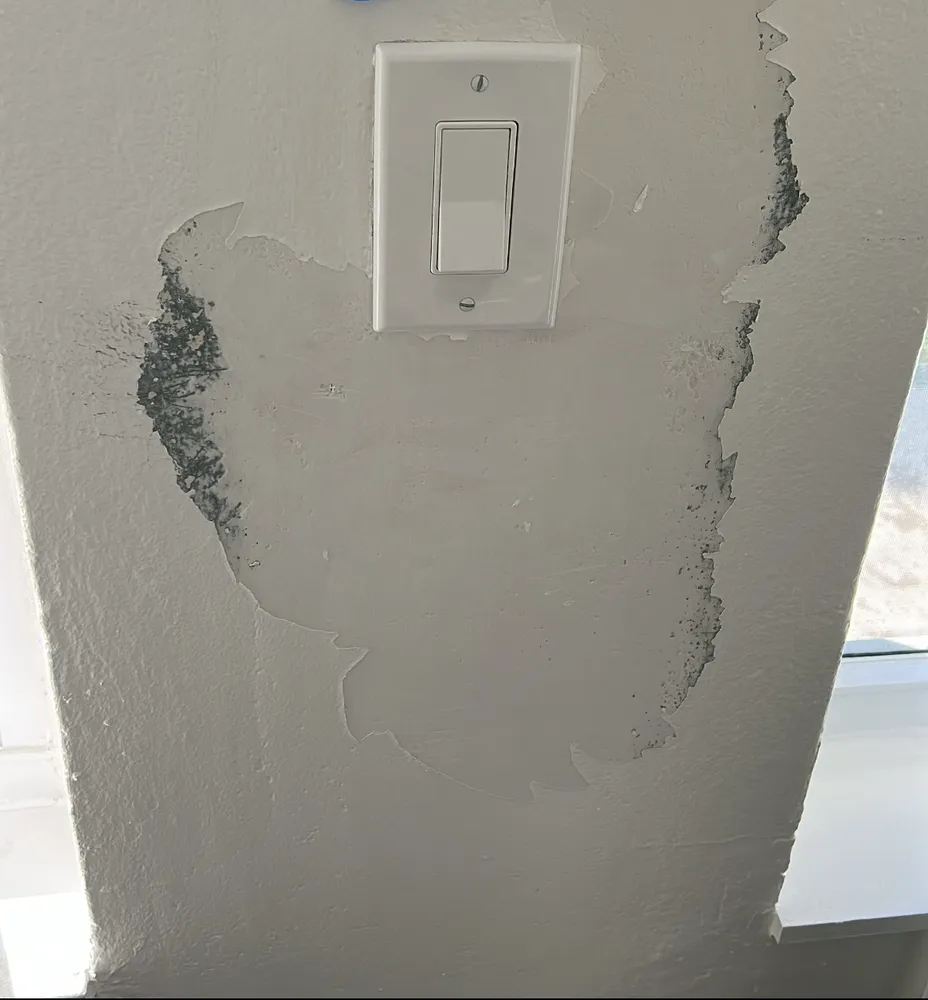 Reliable lawn mowing service in Miami, FL by Perez Elite Construction