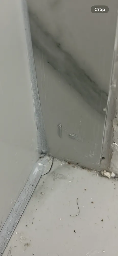 Reliable yard cleanup service in Miami, FL - Perez Elite Construction