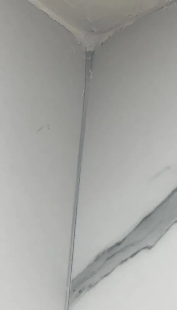 Local landscaping services in Miami, FL by Perez Elite Construction