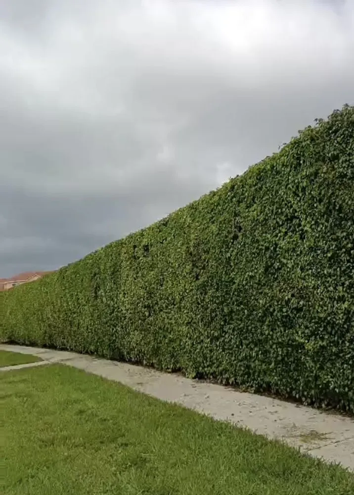 Affordable garden landscaping in Riviera Beach, FL - Perez Family Landscaping