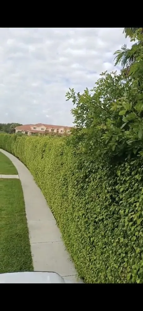 Reliable landscaping services in Riviera Beach, FL - Perez Family Landscaping