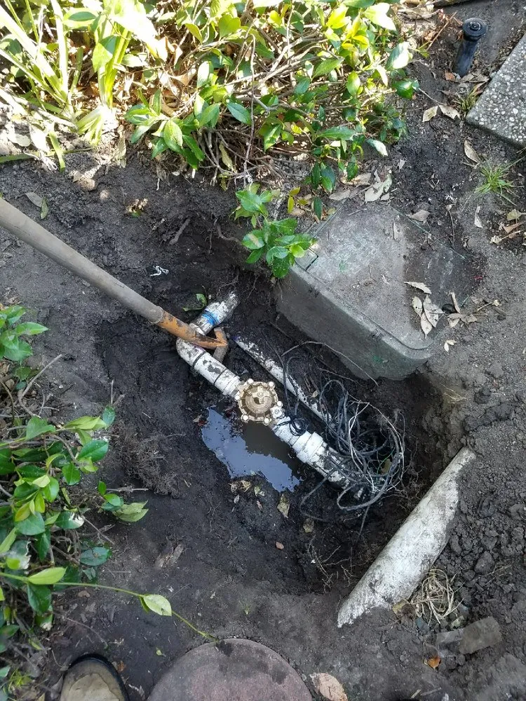 Reliable outdoor landscaping for year-round maintenance across Santa Ana, CA - Perez Family Landscaping