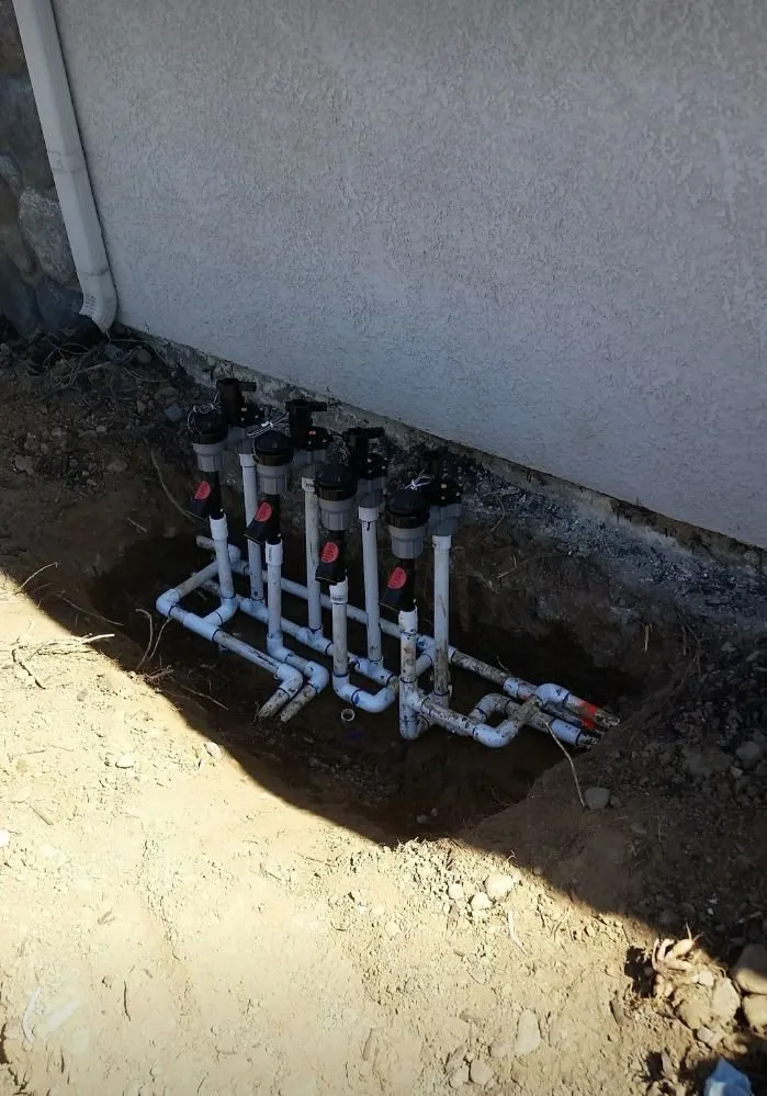 Professional garden landscaping in Santa Ana, CA by Perez Family Landscaping