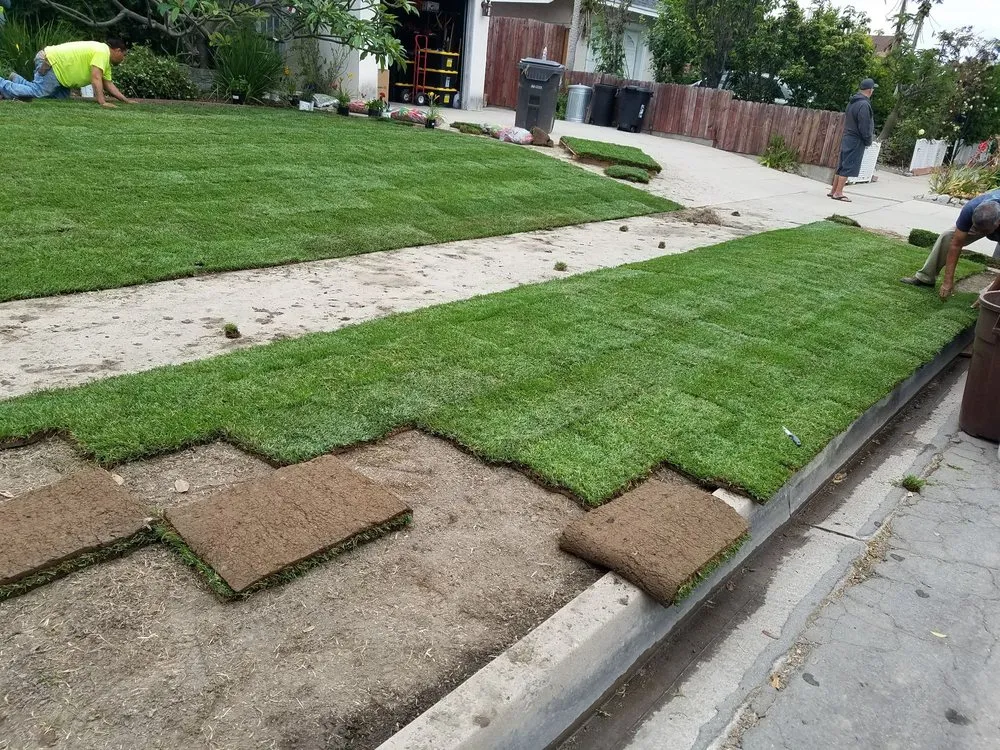 Trusted garden landscaping for outdoor upgrades across Santa Ana, CA - Perez Family Landscaping