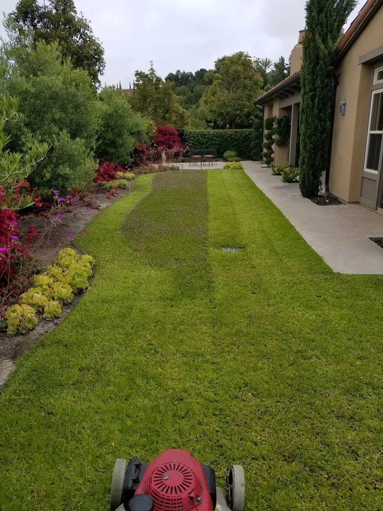 Local residential landscaping in Santa Ana, CA by Perez Family Landscaping