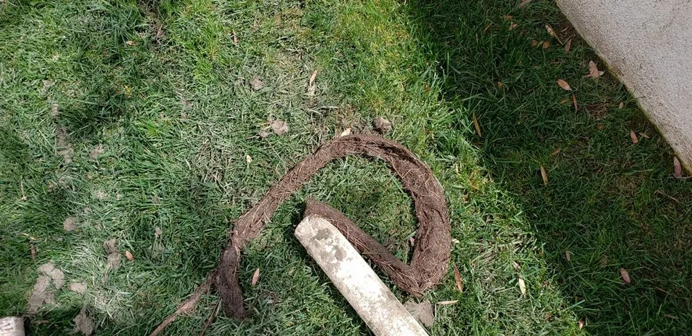 Affordable lawn care service experts serving Santa Ana, CA - Perez Family Landscaping