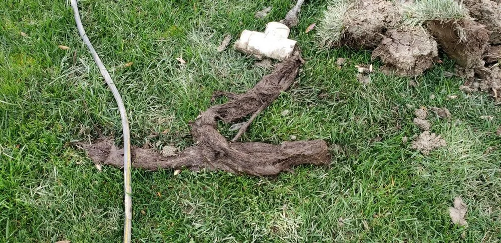 Affordable landscape design in Santa Ana, CA by Perez Family Landscaping