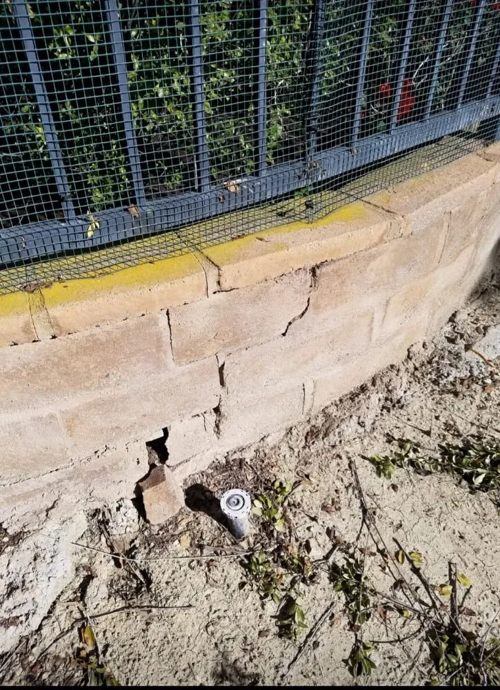 Local lawn mowing service experts serving Santa Ana, CA - Perez Family Landscaping