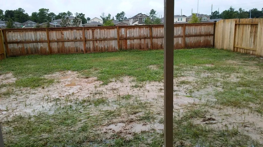 Affordable lawn care service with custom design across Houston, TX - Perez Family Lawn Service