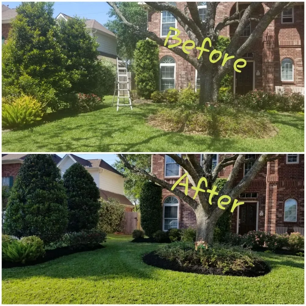 Reliable landscape installation for outdoor upgrades across Houston, TX - Perez Family Lawn Service