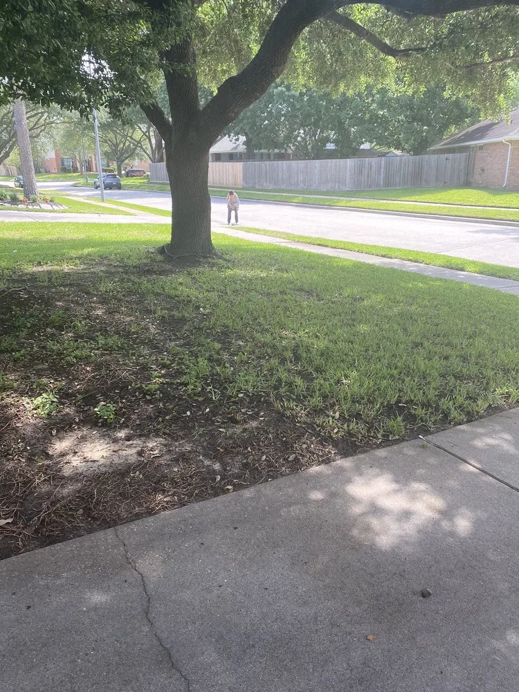 Reliable landscape installation with custom design in Houston, TX by Perez Family Lawn Service