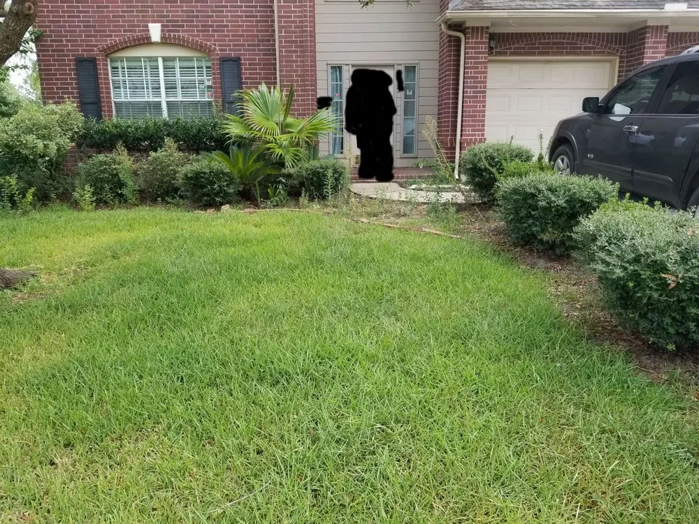 Affordable yard maintenance in Houston, TX by Perez Family Lawn Service