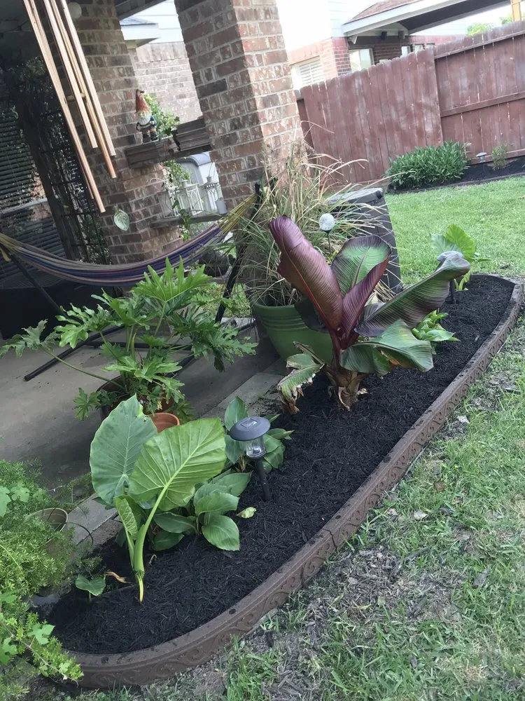 Reliable lawn care service in Houston, TX - Perez Family Lawn Service