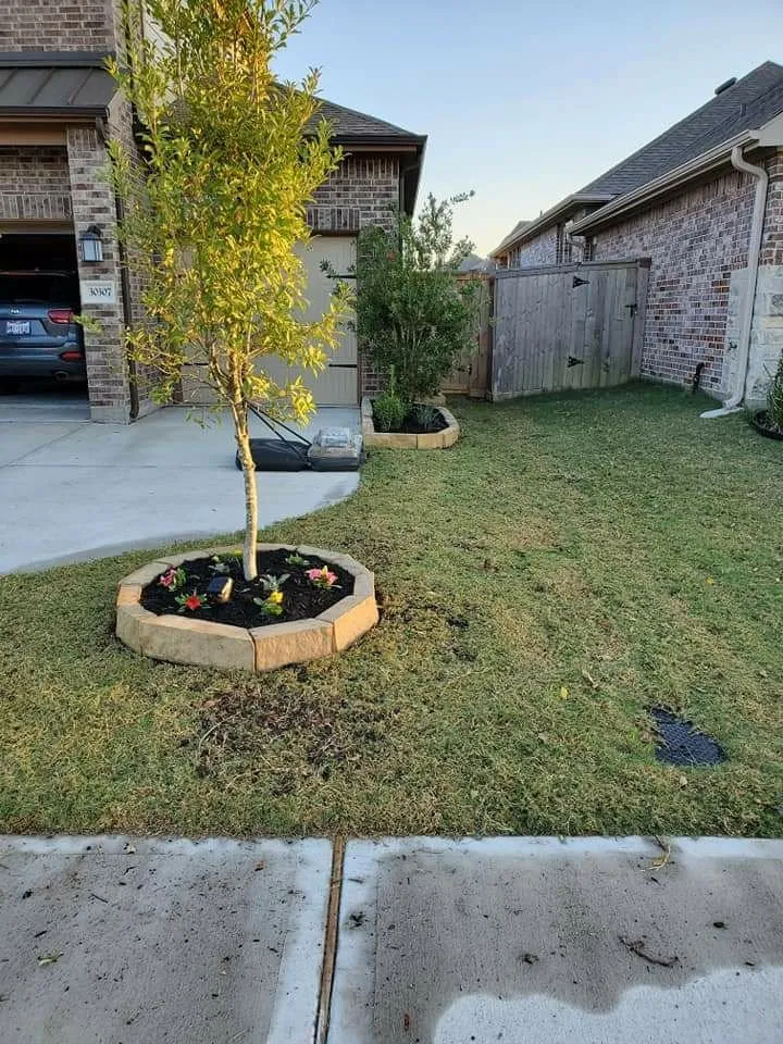 Local yard cleanup service experts serving Houston, TX - Perez Family Lawn Service