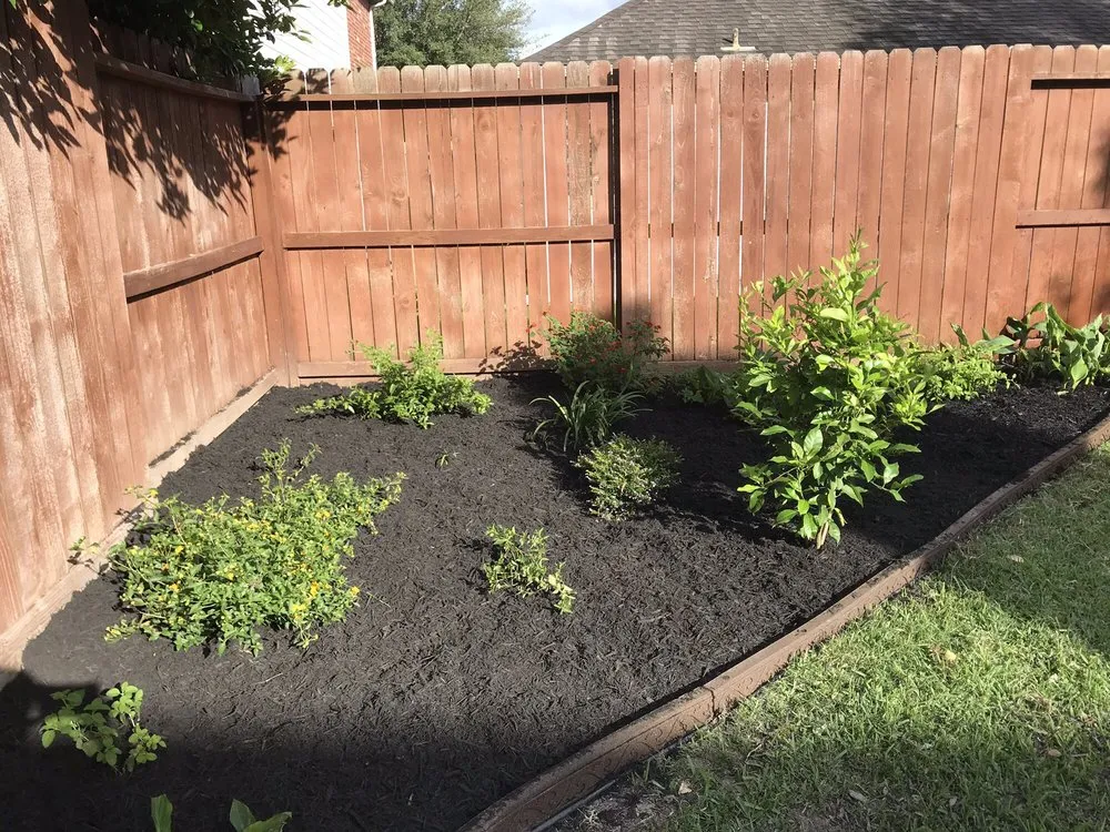 Top-rated yard cleanup service in Houston, TX - Perez Family Lawn Service