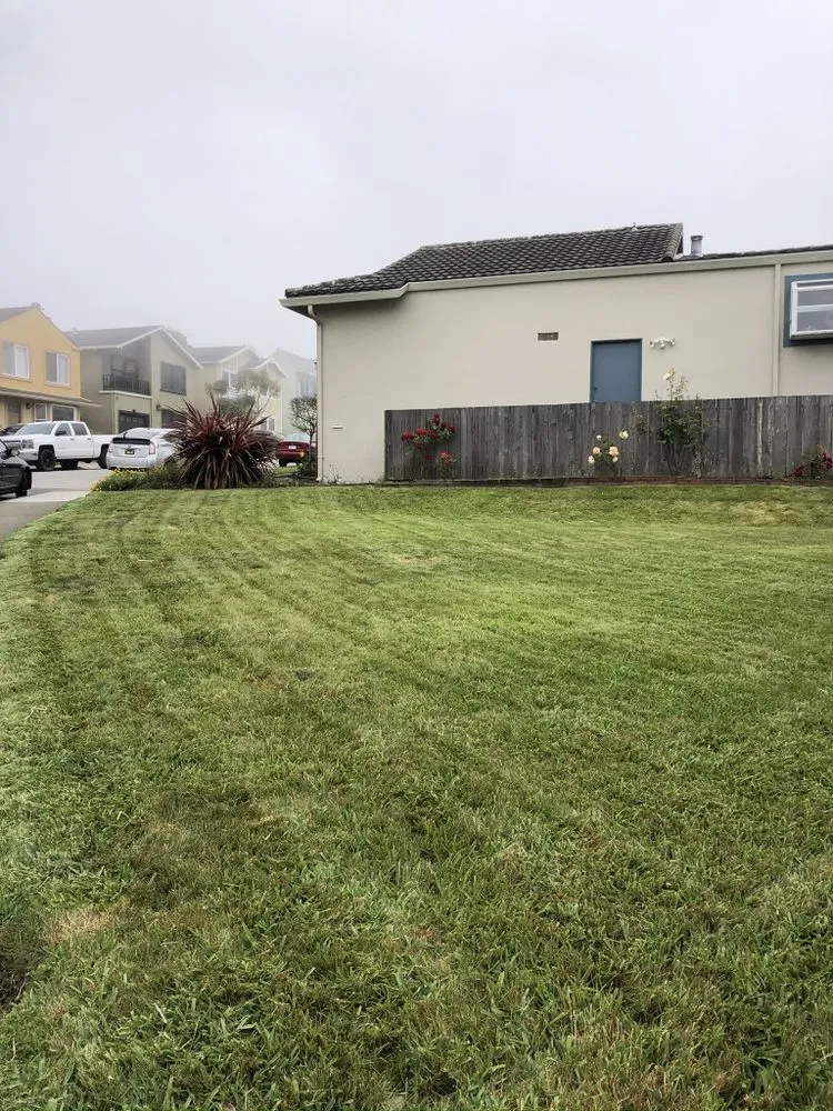 Custom garden landscaping in Fremont, CA by Perez Gallegos Lawn Care