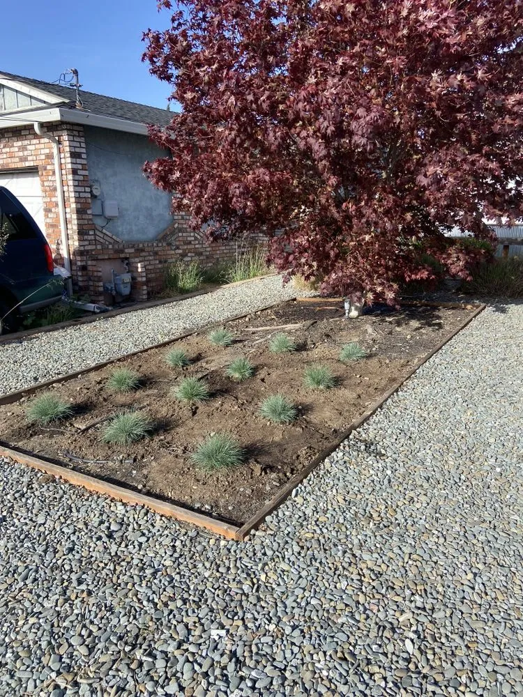 Local garden landscaping in Fremont, CA - Perez Gallegos Lawn Care