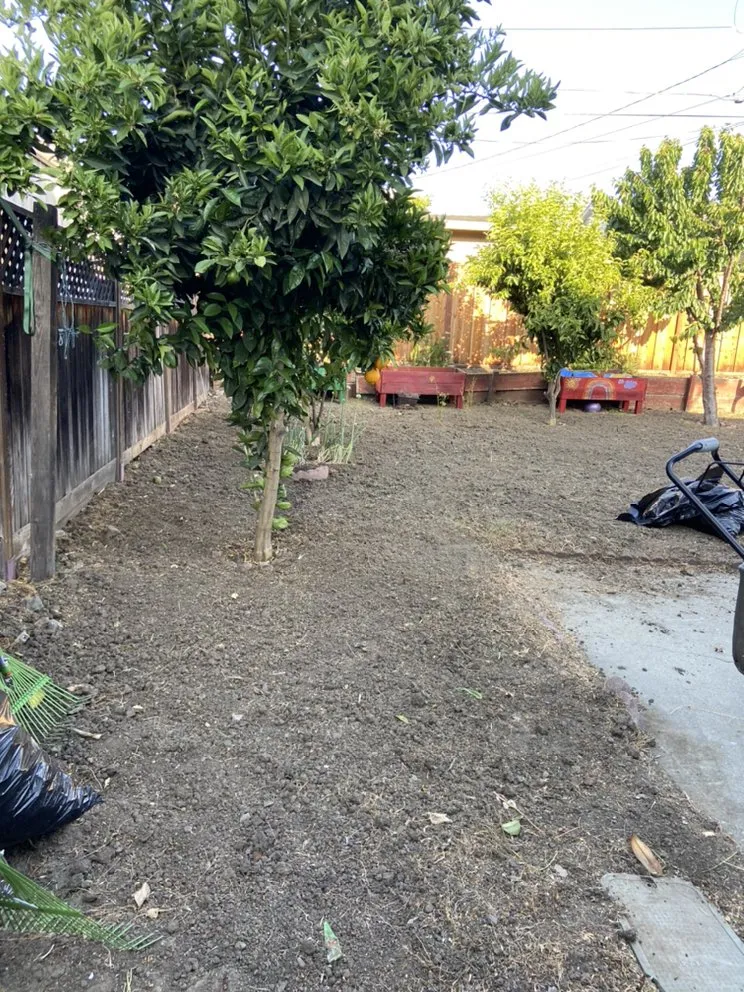 Custom outdoor landscaping in Fremont, CA by Perez Gallegos Lawn Care