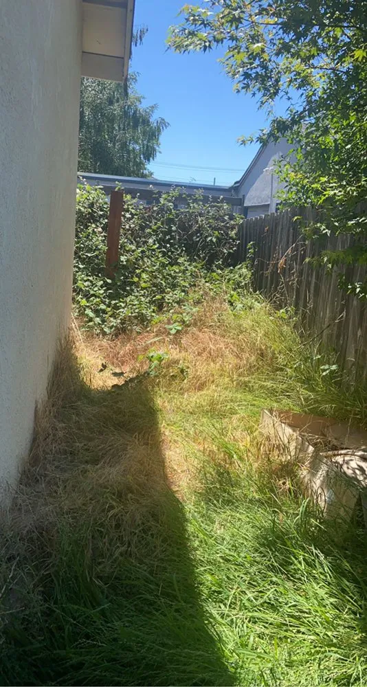 Affordable lawn care service in Fremont, CA - Perez Gallegos Lawn Care