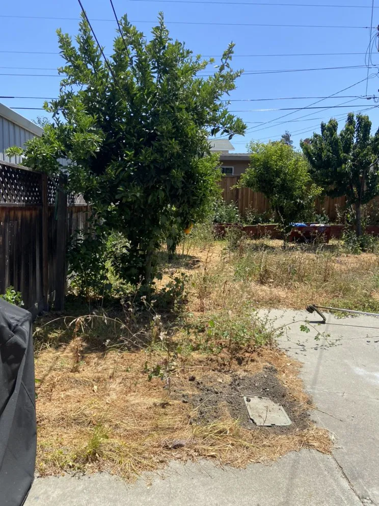 Top-rated landscaping services in Fremont, CA by Perez Gallegos Lawn Care