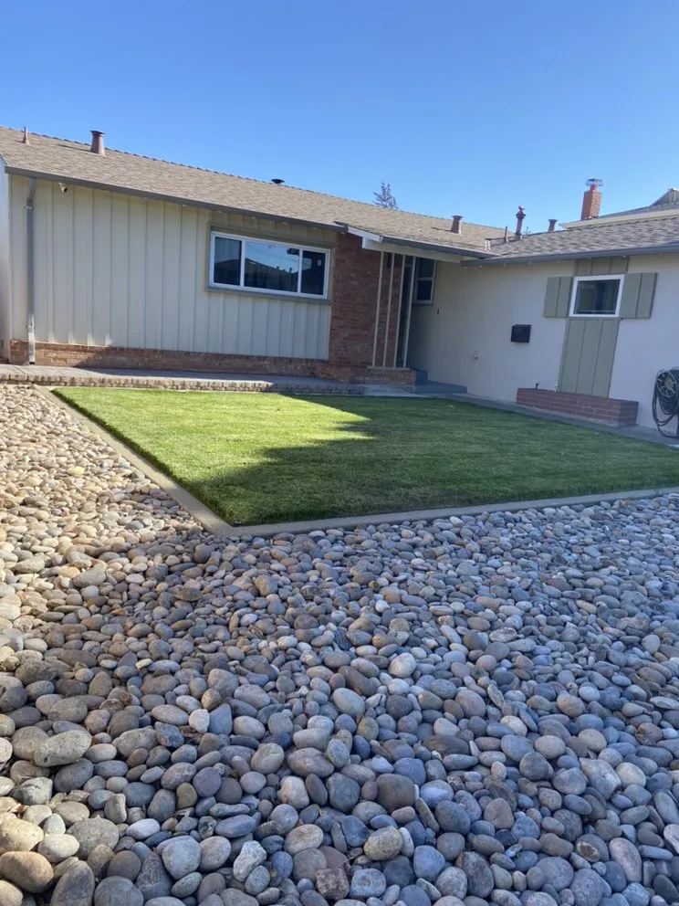 Trusted yard cleanup service for year-round maintenance in Fremont, CA by Perez Gallegos Lawn Care