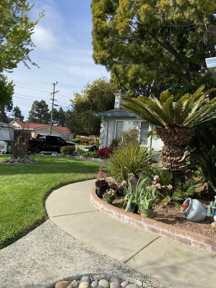 Professional yard maintenance for year-round maintenance across Fremont, CA - Perez Gallegos Lawn Care