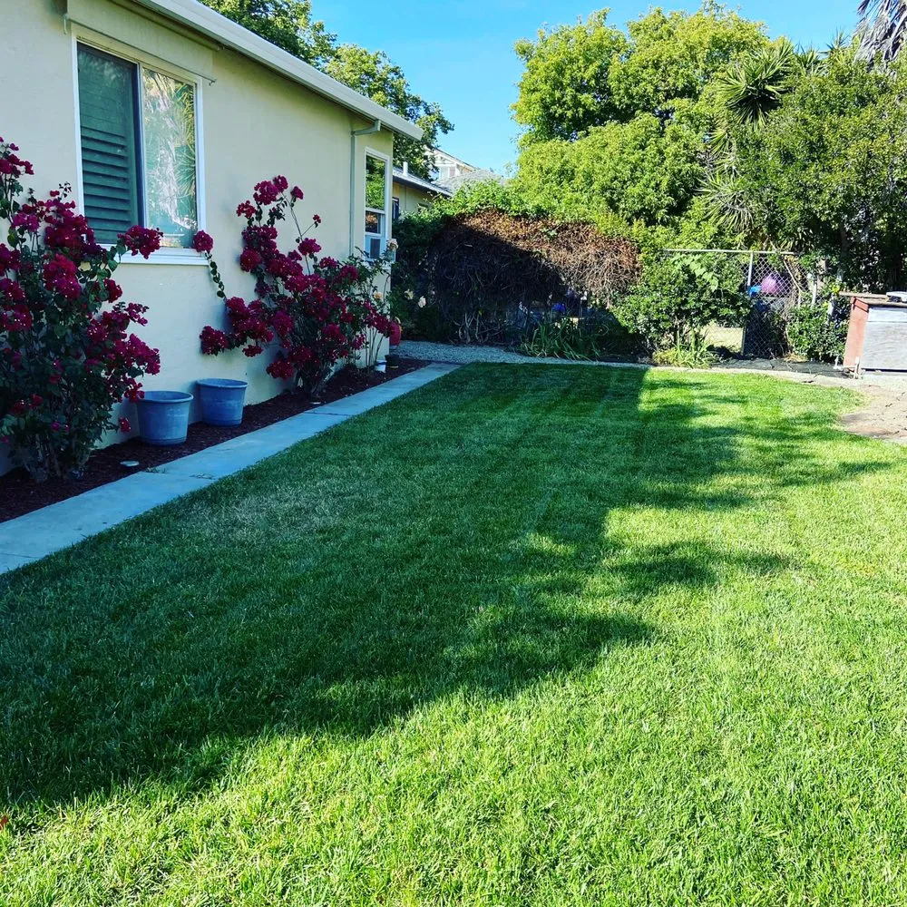 Custom yard cleanup service for outdoor upgrades across Fremont, CA - Perez Gallegos Lawn Care