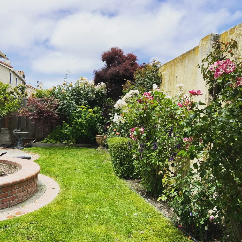Local landscape design for year-round maintenance across Fremont, CA - Perez Gallegos Lawn Care