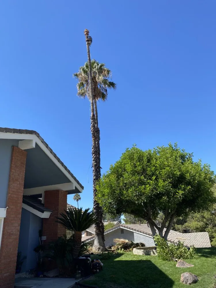 Affordable outdoor landscaping near you in Los Nietos, CA by Perez Gardening