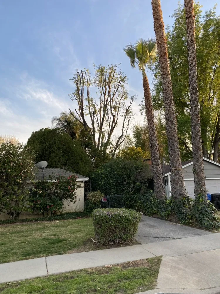 Top-rated residential landscaping for homes across Los Nietos, CA - Perez Gardening