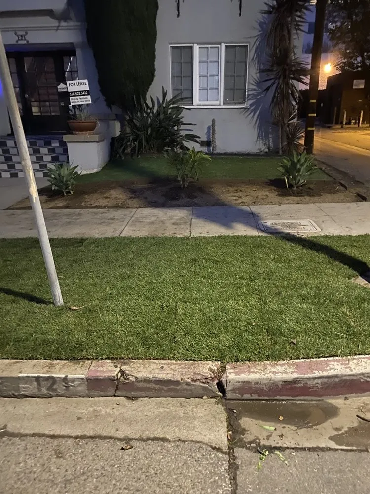 Local garden landscaping for year-round maintenance in Los Nietos, CA by Perez Gardening