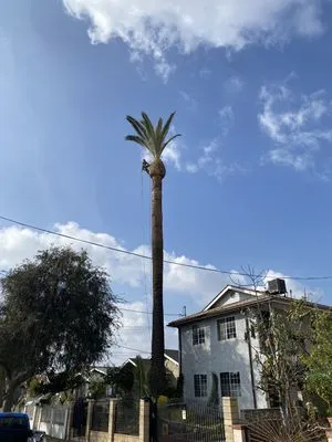 Perez Gardening