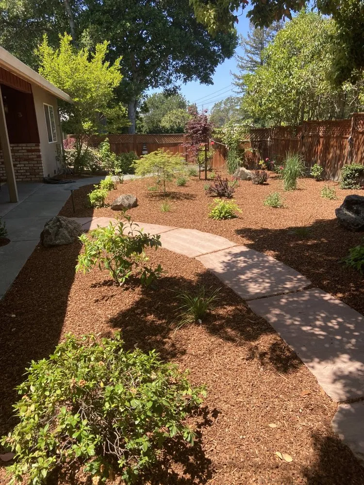 Reliable lawn care service experts serving Santa Rosa, CA - Perez General Jobs Landscaping