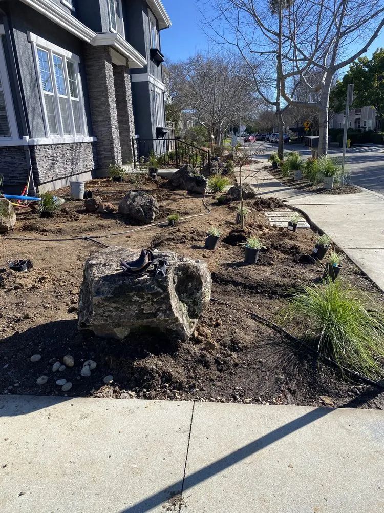 Expert landscaping services experts serving Santa Rosa, CA - Perez General Jobs Landscaping