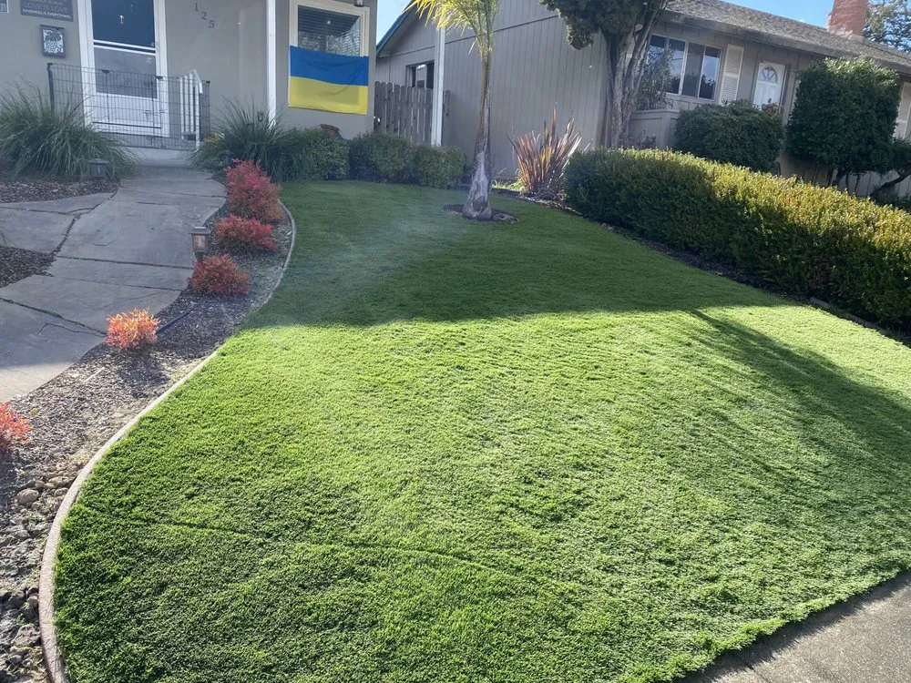 Professional yard cleanup service in Santa Rosa, CA by Perez General Jobs Landscaping