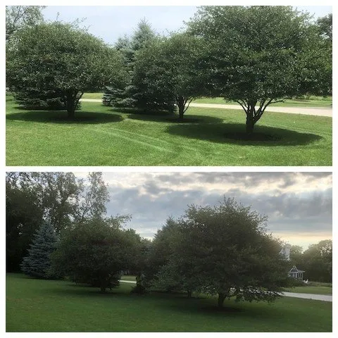 Top-rated landscape installation for outdoor upgrades across Rockford, IL - Perez Green Envy Lawns