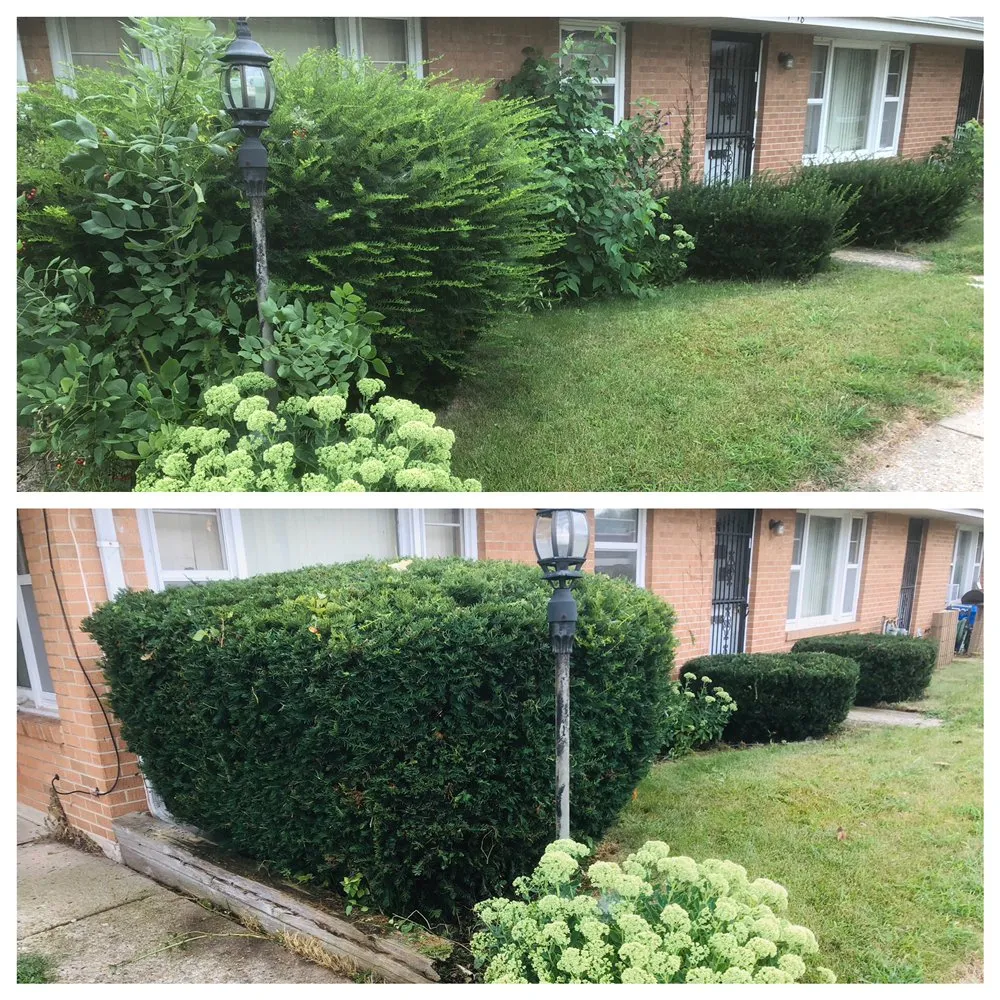 Local lawn care service with custom design across Rockford, IL - Perez Green Envy Lawns