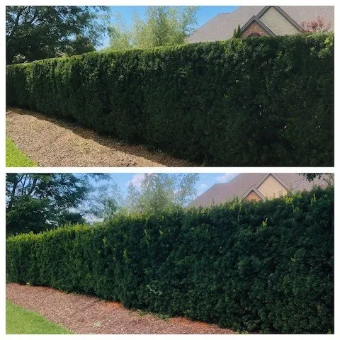 Custom yard maintenance in Rockford, IL - Perez Green Envy Lawns