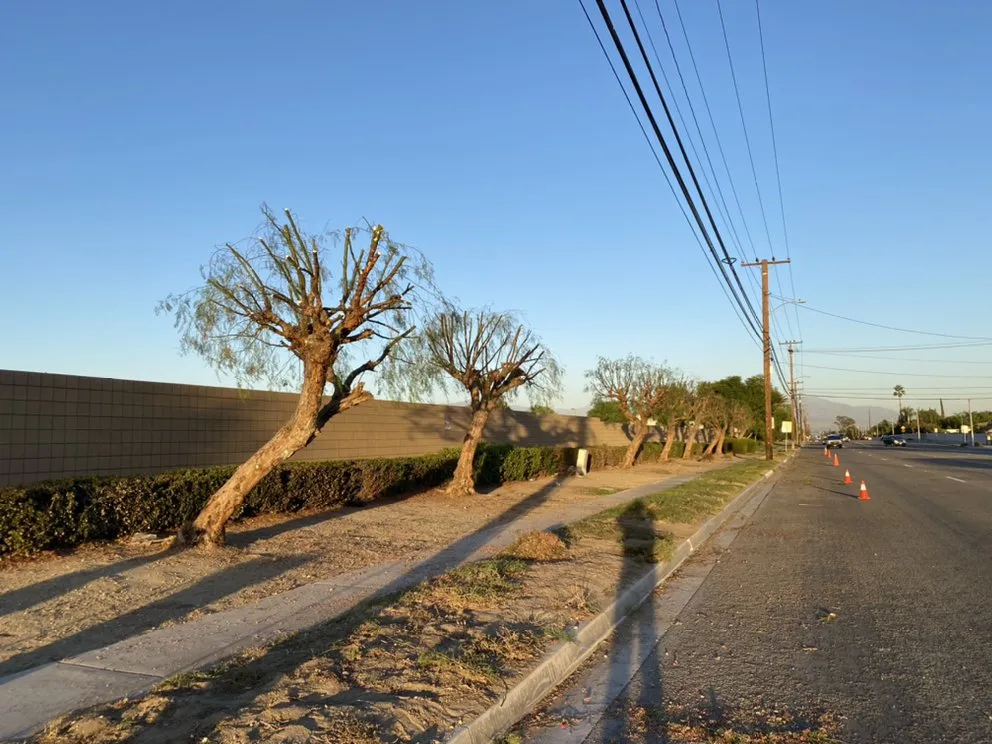 Reliable outdoor landscaping for outdoor upgrades across Rialto, CA - Perez III Tree Service