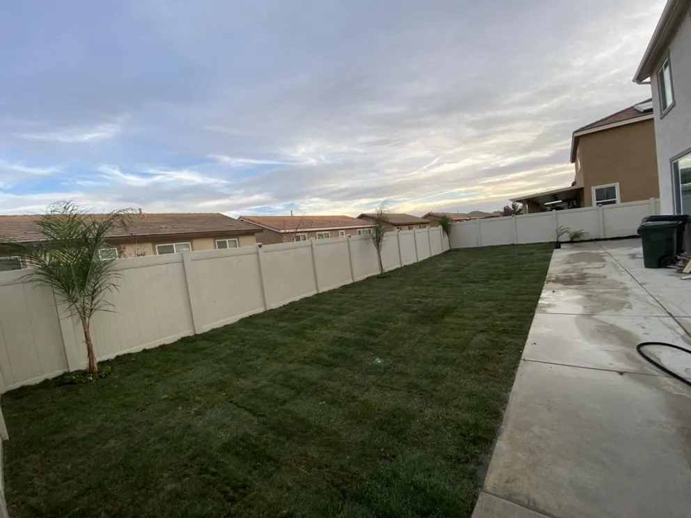 Affordable yard cleanup service in Rialto, CA by Perez III Tree Service