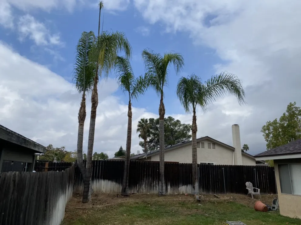 Local residential landscaping for beautiful yards in Rialto, CA by Perez III Tree Service