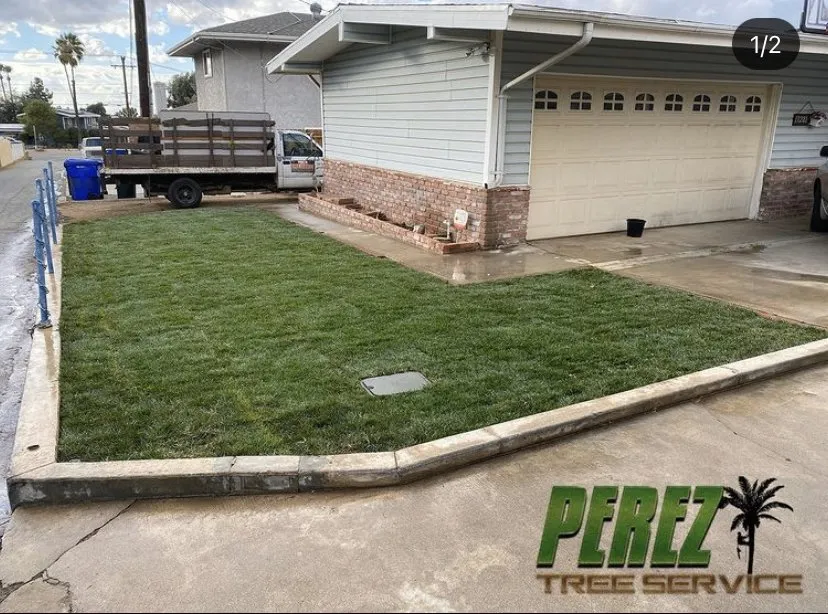 Expert landscaping services with custom design across Rialto, CA - Perez III Tree Service