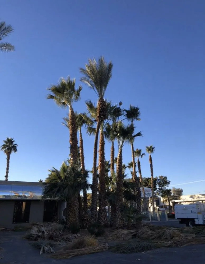 Top-rated landscaping services for outdoor upgrades across Rialto, CA - Perez III Tree Service