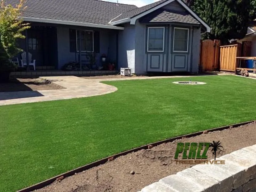 Expert yard cleanup service in Rialto, CA by Perez III Tree Service
