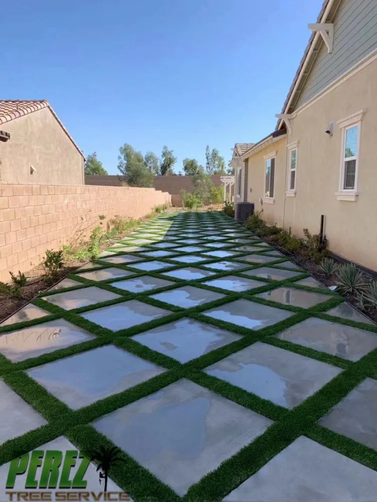 Professional yard maintenance for year-round maintenance in Rialto, CA by Perez III Tree Service