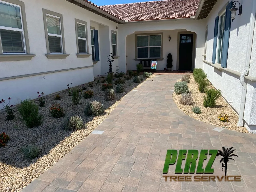 Top-rated yard cleanup service in Rialto, CA - Perez III Tree Service