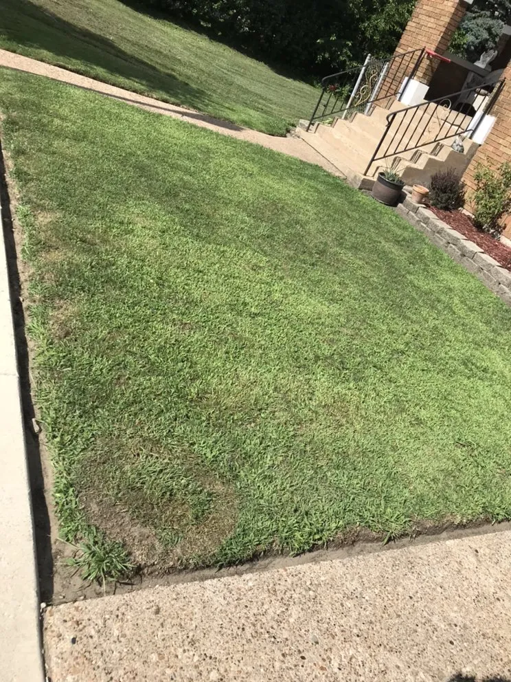 Expert lawn care service with custom design in East Chicago, IN by Perez Industries