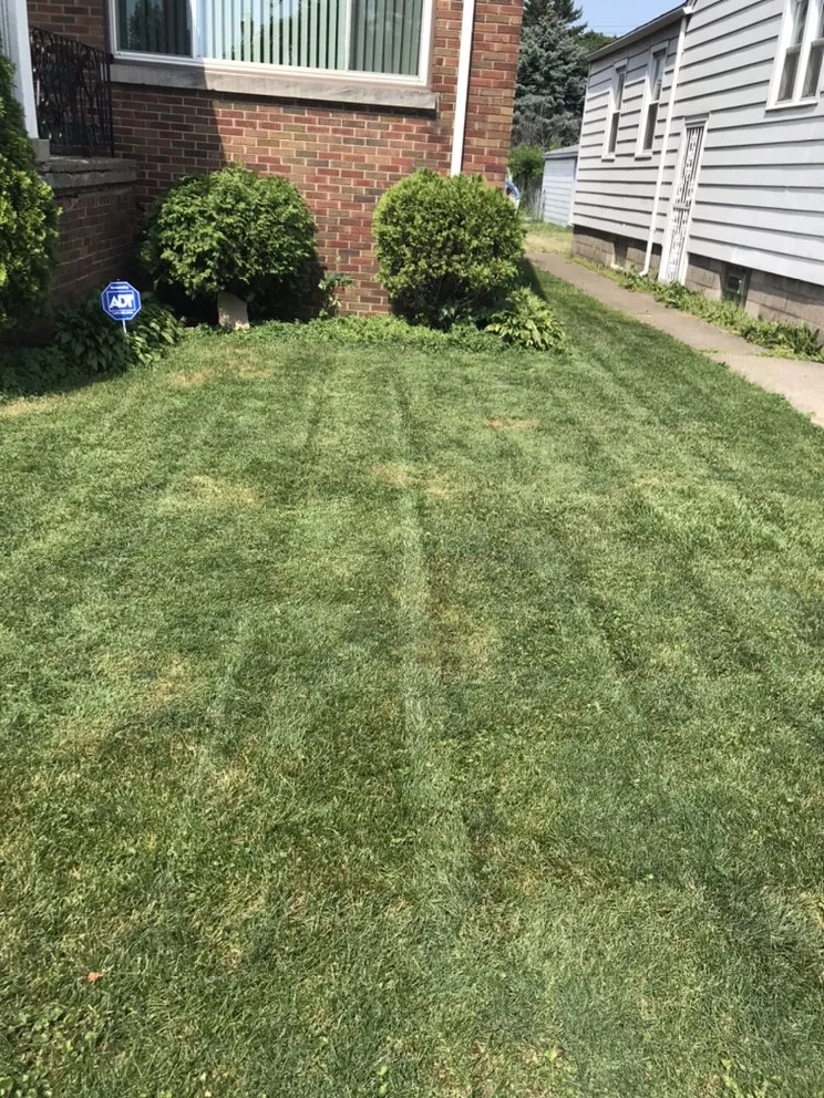 Professional yard maintenance in East Chicago, IN - Perez Industries